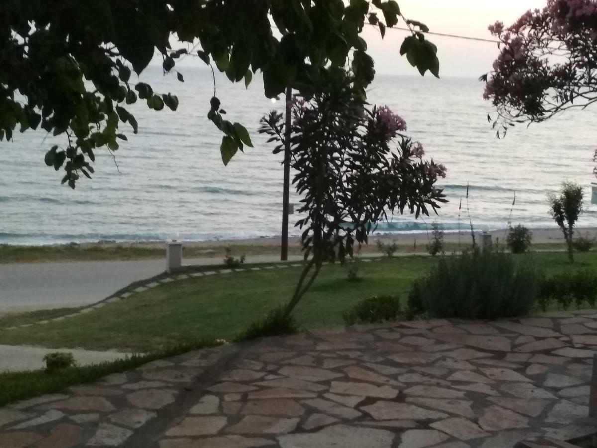 Akrothalassia Lygia  Bagian luar foto