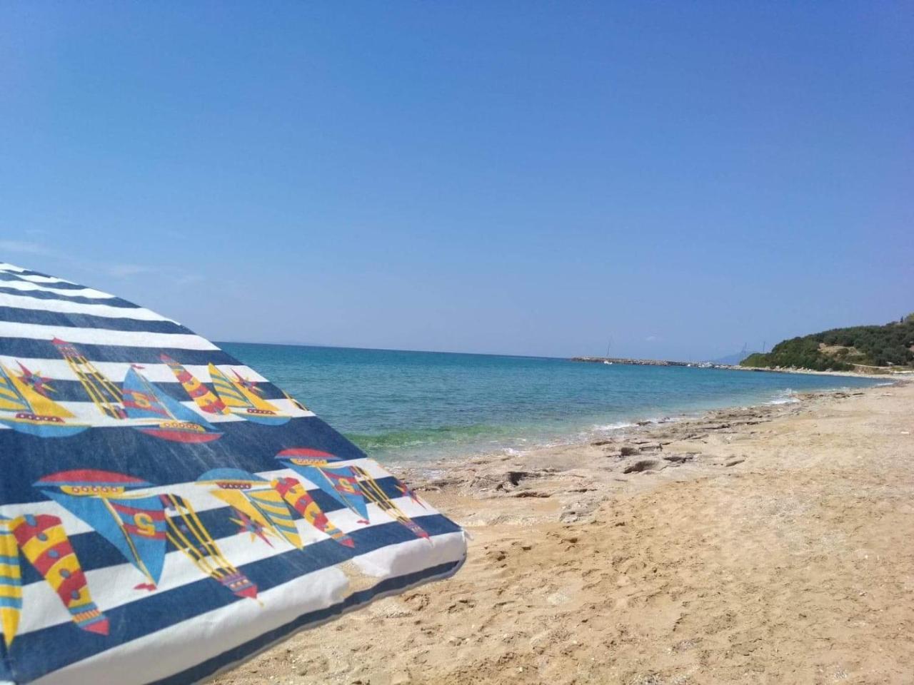 Akrothalassia Lygia  Bagian luar foto